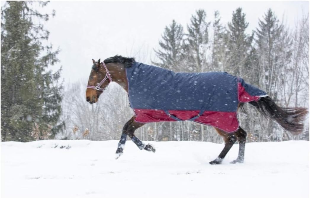 Equi-Theme Winterdecke Highneck 300g Füllung TYREX 1200D Marineblau/Bordeauxrot marineblau/bordeauxr