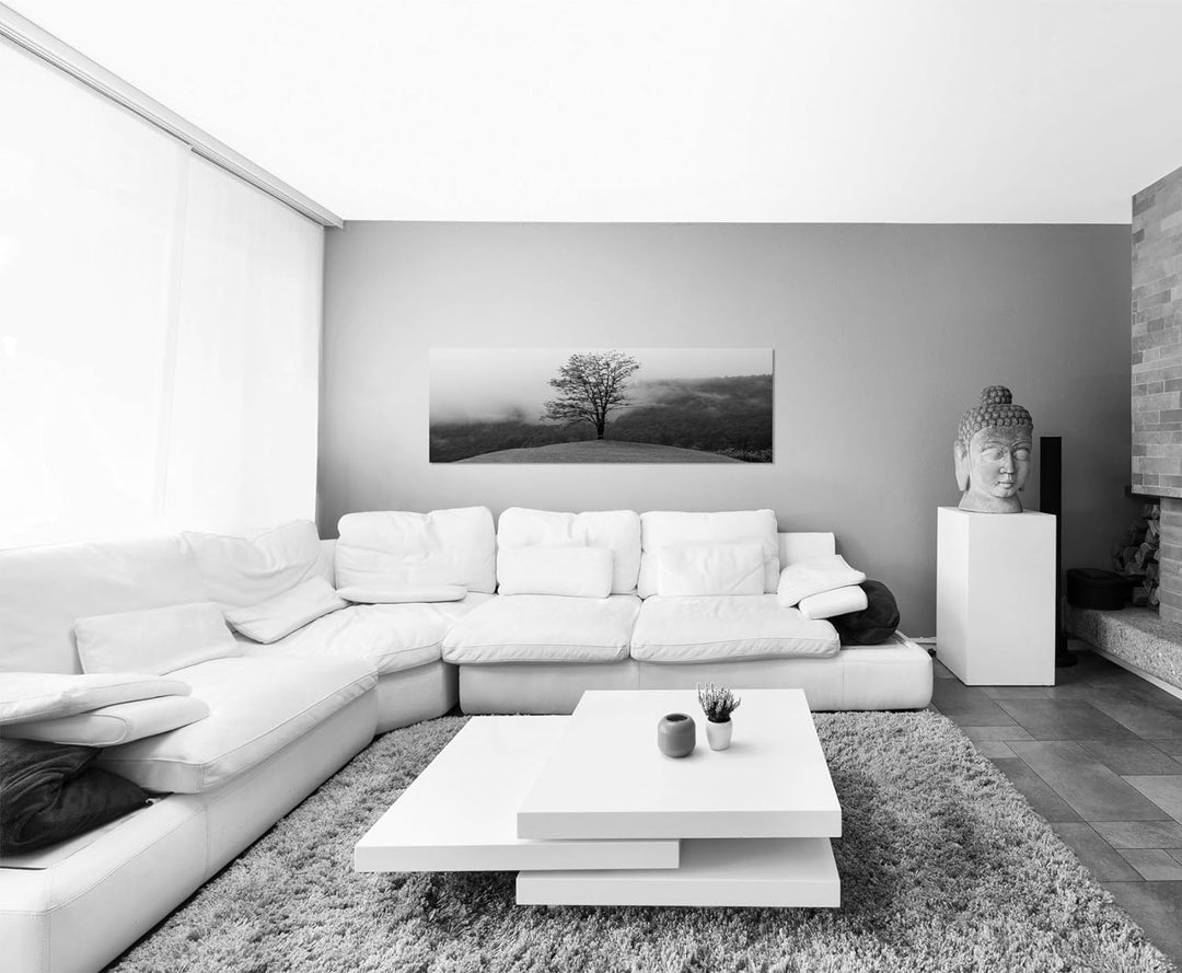 Paul Sinus Art Leinwandfoto als Panorama SCHWARZ/Weiss 120x40cm Wald See Nebel Insel Baum Spiegelung