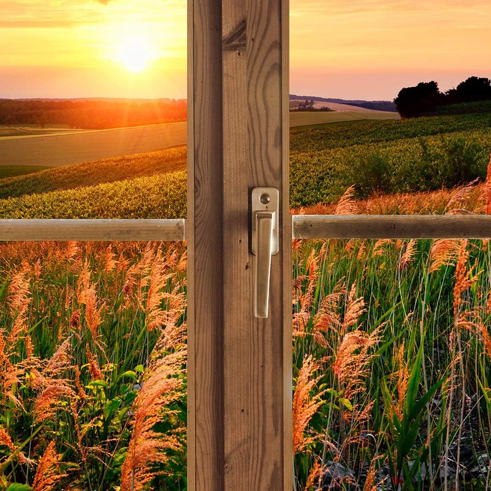 Feeby Vlies Leinwandbild Sonnenuntergang Über Einer Wiese 90x60 cm Druckbild Wandbild Wanddekoration