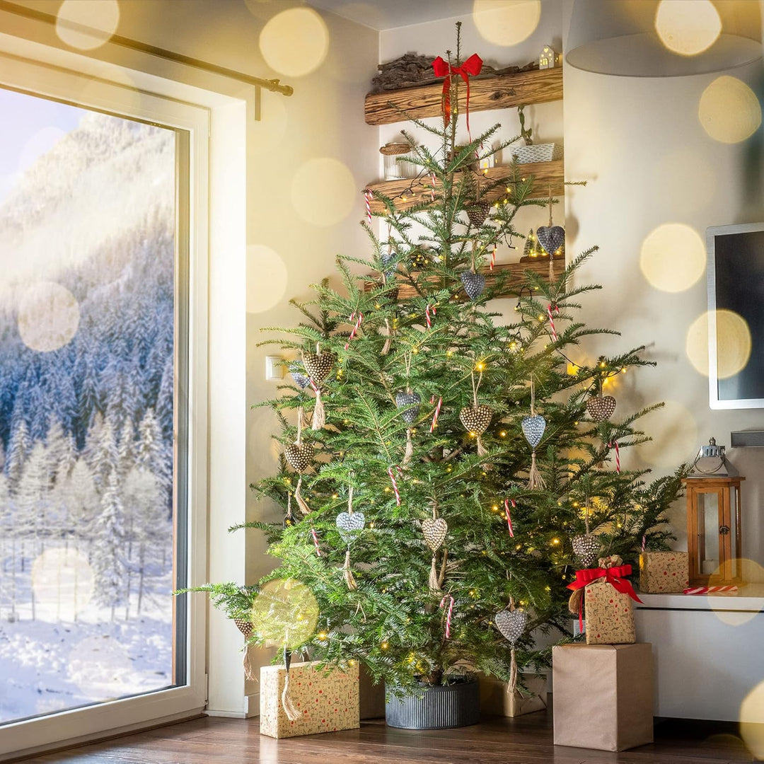 KADAX Weihnachtsbaumständer, Christbaumständer aus recycelten Kunststoff, Tannenbaumständer für eine
