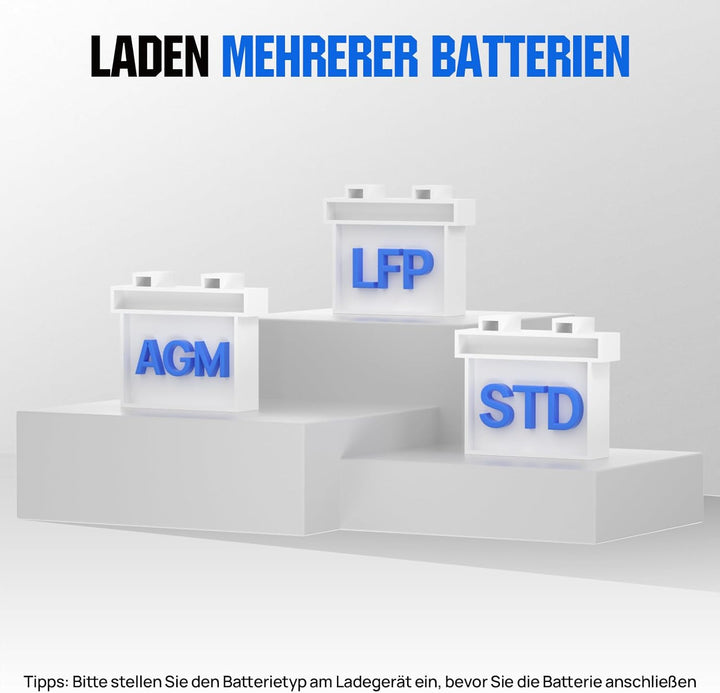 ECO-WORTHY 12V/24V 20A LiFePO4 Batterieladegerät mit Multi-Current Optionen 5A/10A/15A/20A,automatis