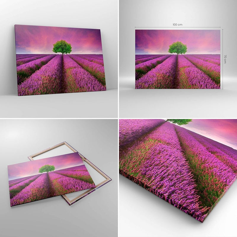 Bilder auf Leinwand 100x70cm Leinwandbild Wiese lavenda Sommer Landschaft Gross Wanddeko Bild Schlaf