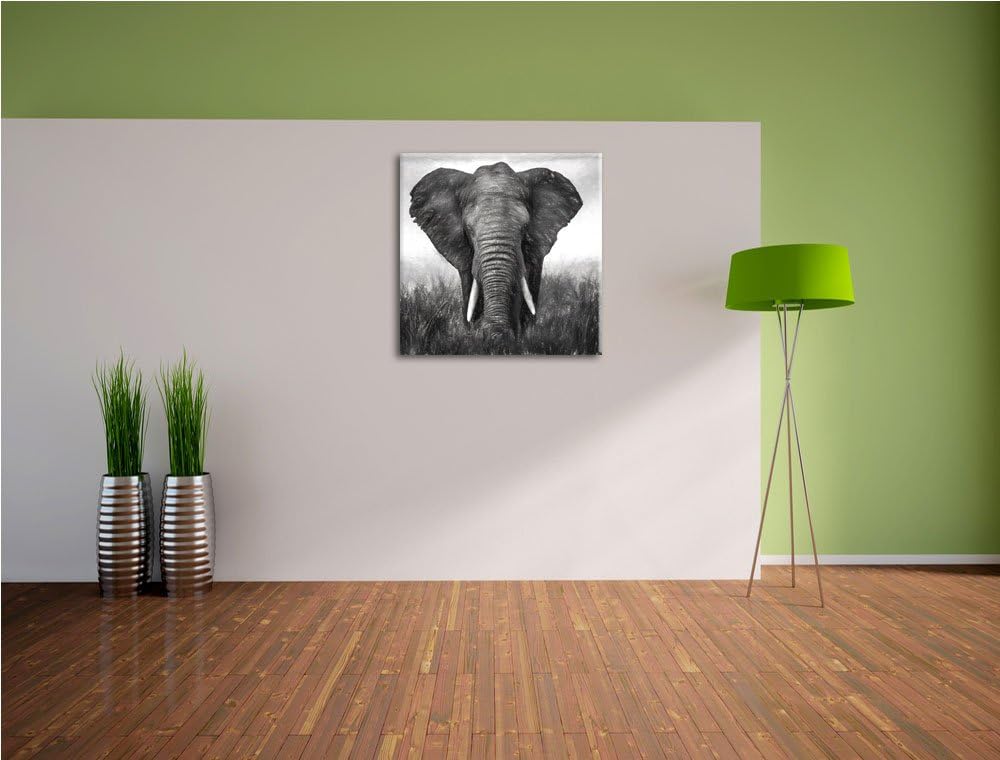 prachtvoller Elefant, Format: 70x70 als Leinwandbild, tolle Bilder fertig auf Holzrahmen gespannt, K