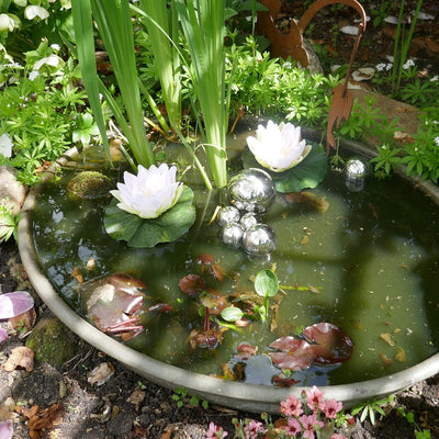 Storm's Gartenzaubereien Miniteich Komplettset mit 2 Seerosen weiss - Schwimmkugeln - Teichkugeln in