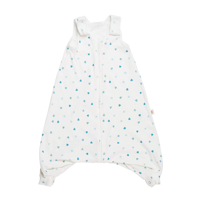 Ergobaby Baby-Schlafsack Ganzjährig mit Füssen Gurtschlitz, On The Move - Heart To Heart, 6-18 Monat