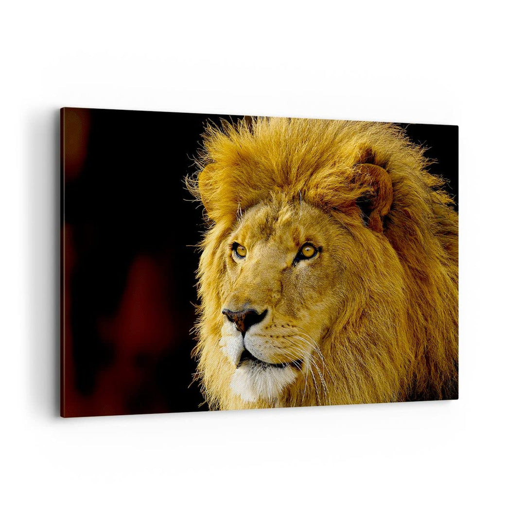 Bilder auf Leinwand 100x70cm Leinwandbild mit Rahmen Löwe Tiere Tierwelt Gross Wanddeko Bild Schlafz