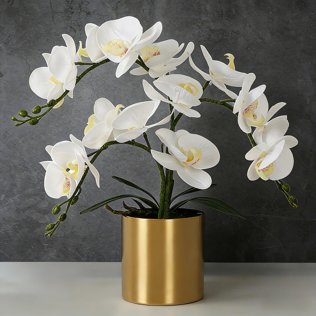 LESING Künstliche Orchidee mit Vase, weisse Orchidee Bonsai künstliche Orchidee Phalaenopsis Pflanzt