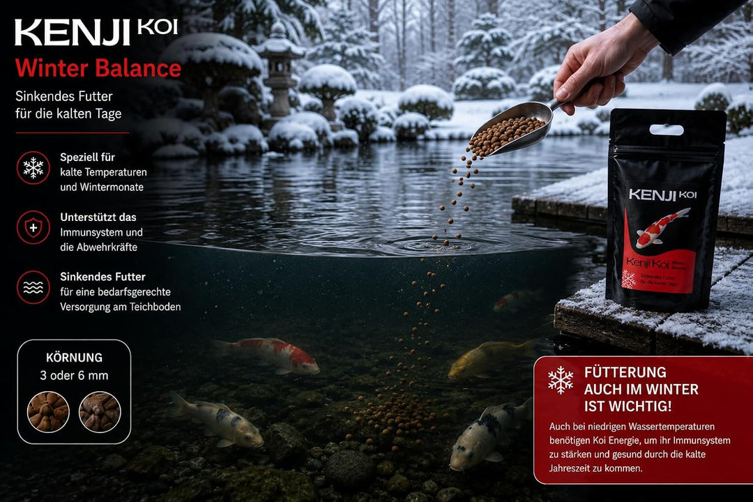 KENJI KOI Winter Balance 5kg 6mm - Sinkendes Koifutter Winter - Koifutter Frühjahr, Herbst, Winter |