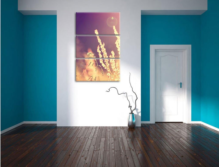 Pixxprint Gräser im Sonnenuntergang als Leinwandbild/Grösse: 3 Teilig (120x80) cm/Wandbild/Kunstdruc