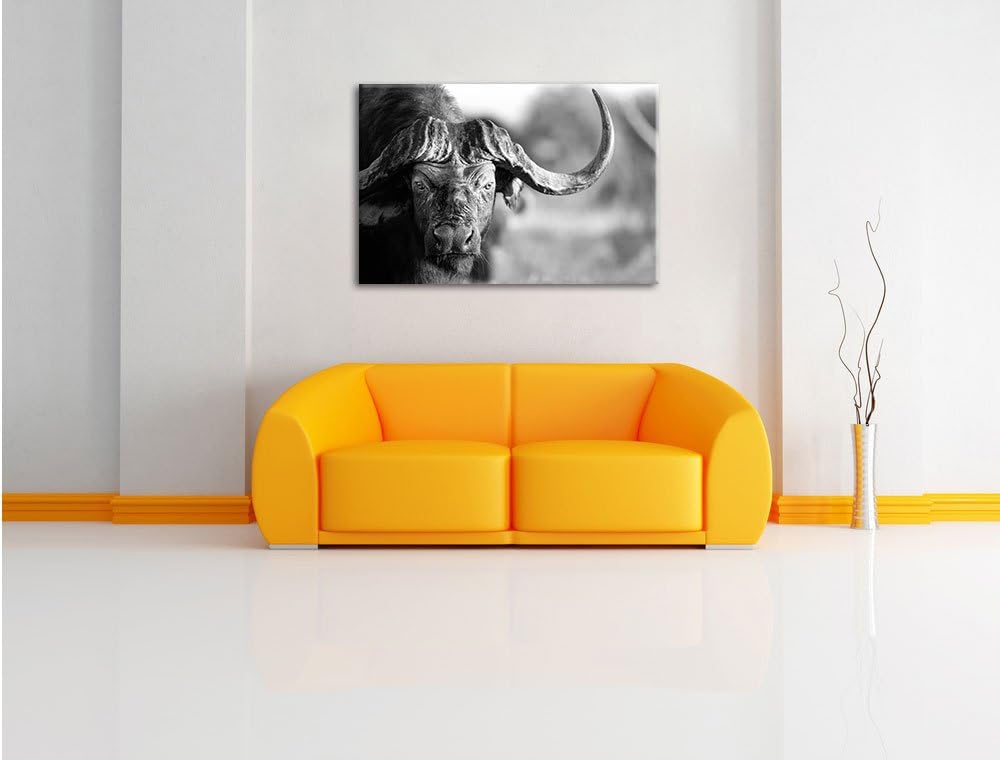 Pixxprint Kaffernbüffel mit kräftigen Hörnern Kunst B&amp;W, Format: 100x70 auf Leinwand, XXL riesige Bi