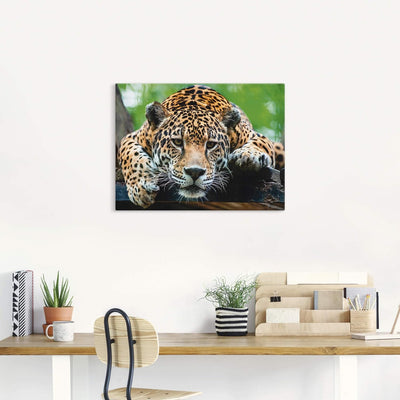 ARTland Leinwandbilder Wandbild Bild auf Leinwand 60x45 cm Tiere Wildtiere Raubkatze Fotografie Brau