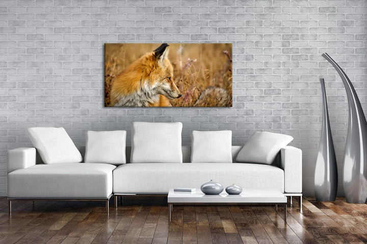 Kleiner Fuchs im Getreidefeld Panorama 80x40 cm als Leinwandbild, Motiv fertig gerahmt auf Echtholzr