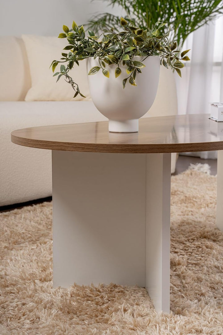 Stylish Coffee Table, Walnut & White, 119 x 39.8 x 60 cm | 100% Melamine Coated Particle Board, 18 m