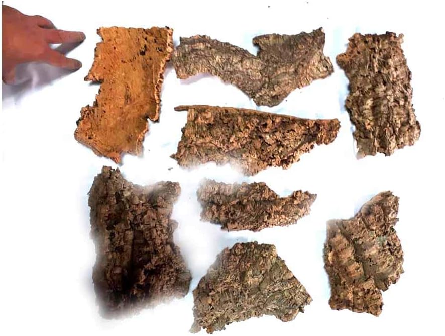 750 GR Zubehör für Krippe Zubehör für Krippe Weihnachtsgeschichte Kork Rinde Vegetation Krippe Dec W