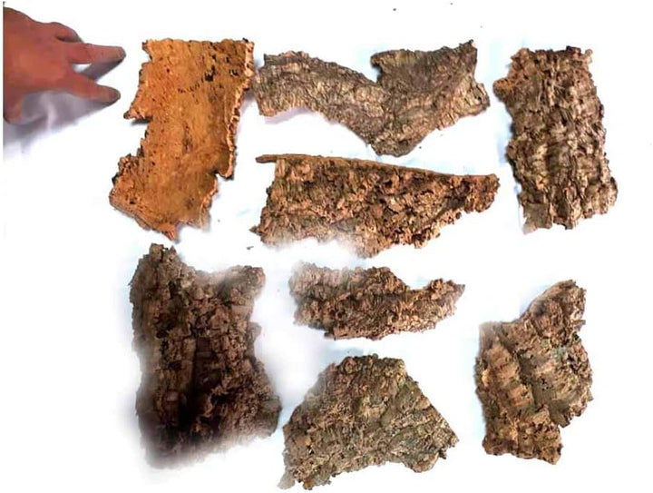 750 GR Zubehör für Krippe Zubehör für Krippe Weihnachtsgeschichte Kork Rinde Vegetation Krippe Dec W