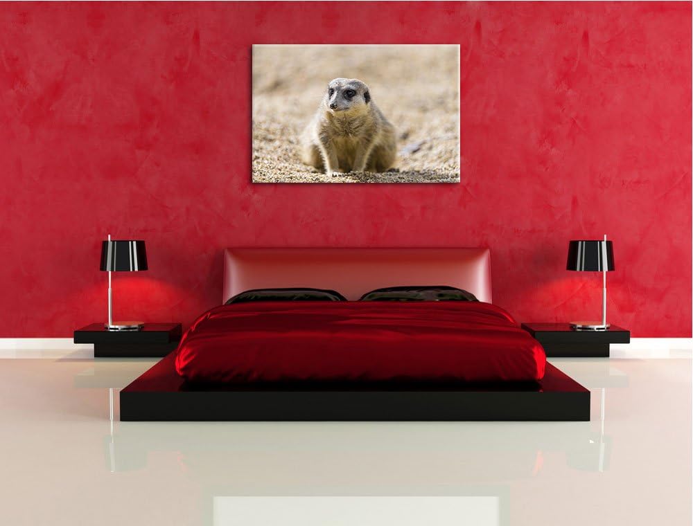 Pixxprint schüchternes Erdmännchen auf Leinwand, XXL riesige Bilder fertig gerahmt mit Keilrahmen, K