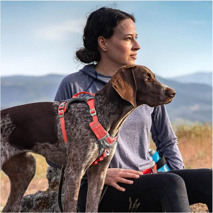 Kurgo Journey Air Hundegeschirr, Westengeschirr für Hunde, Haustier-Wandergeschirr zum Laufen &amp; Spaz
