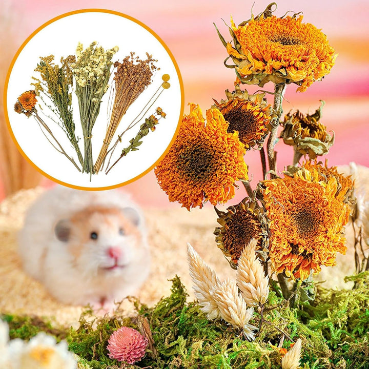 Hamster-Bettwäsche, NatürlicheBlume &amp; Kräuter Hamster Bettwäsche LebensraumDekor Getreide Meerschwei