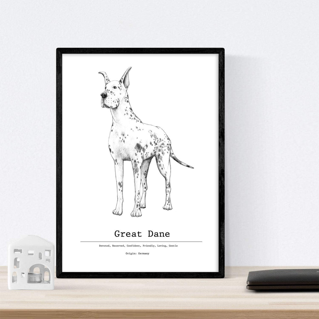 Nacnic Packung dePerros dekorative Poster descripcion.Láminas Hunderasse. A4-Format A4 Hundezucht-be