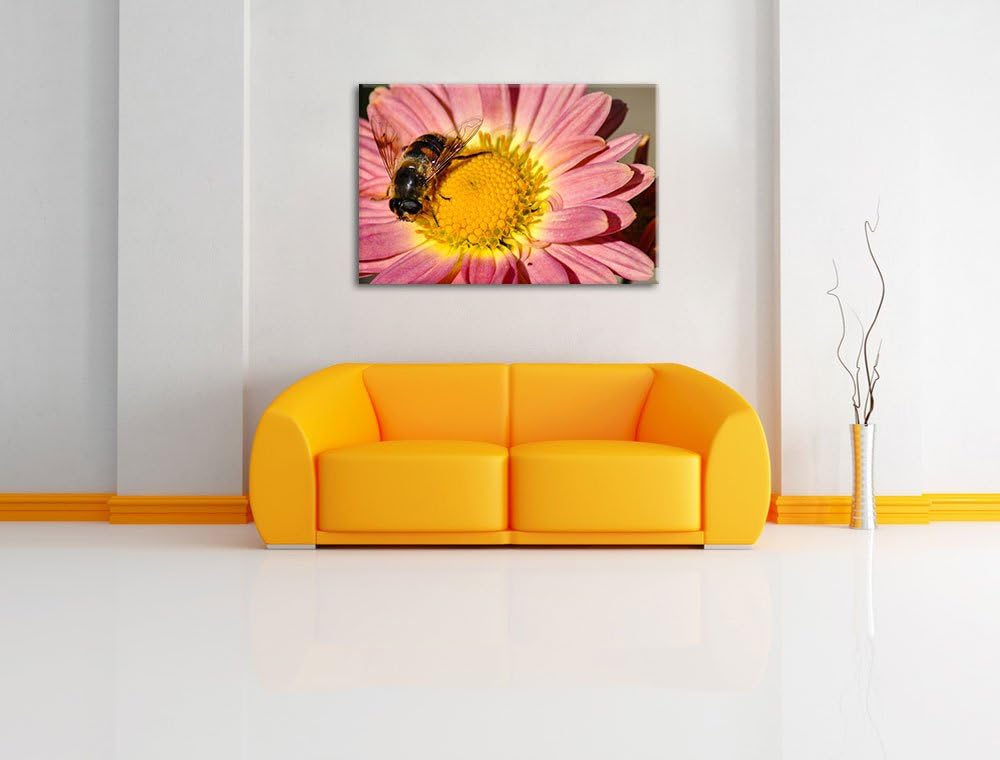 Pixxprint Biene auf Margarete auf Leinwand, XXL riesige Bilder fertig gerahmt mit Keilrahmen, Kunstd