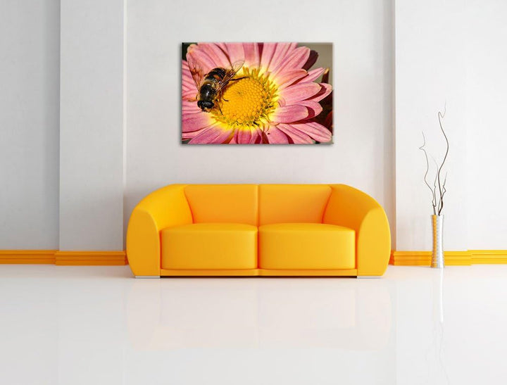 Pixxprint Biene auf Margarete auf Leinwand, XXL riesige Bilder fertig gerahmt mit Keilrahmen, Kunstd