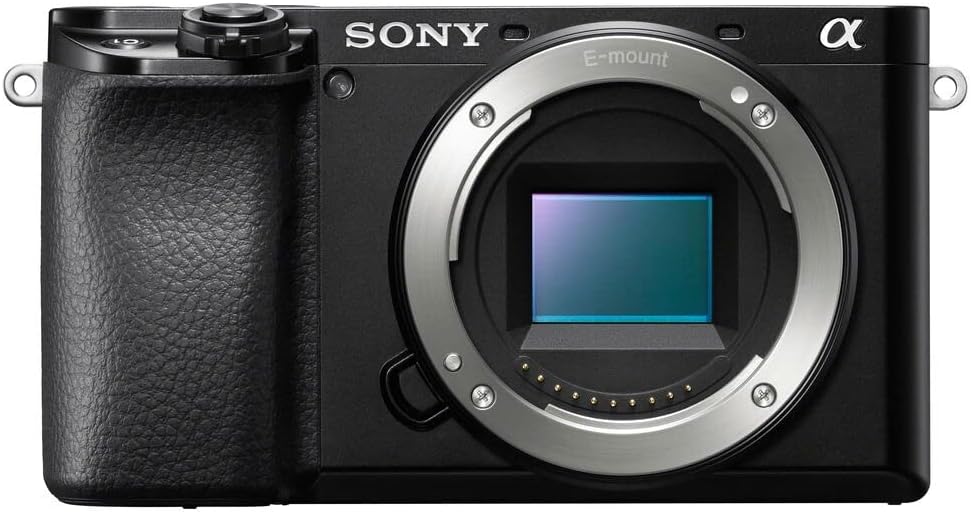 Sony Alpha 6100 | APS-C Spiegellose Kamera ( Schneller 0,02s-Autofokus, Autofokus mit Augenerkennung