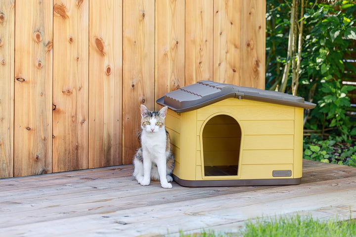 Kerbl Pet Katzenhaus Paola Eco, Honey/schwarz, 60x51x41 cm, Katzenhöhle, 100% recycelter Kunststoff,