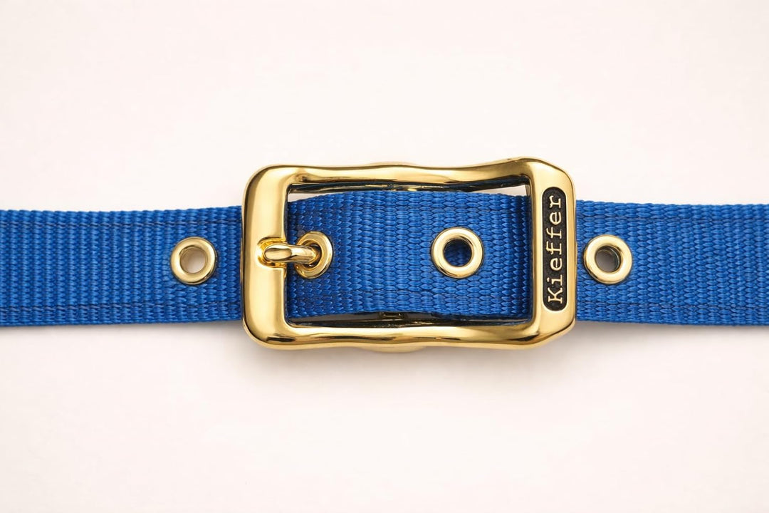 Reinecke Equestrian Premium Leuchthalfter Reflexhalfter Sicherheitshalfter Stallhalfter Weidehalfter