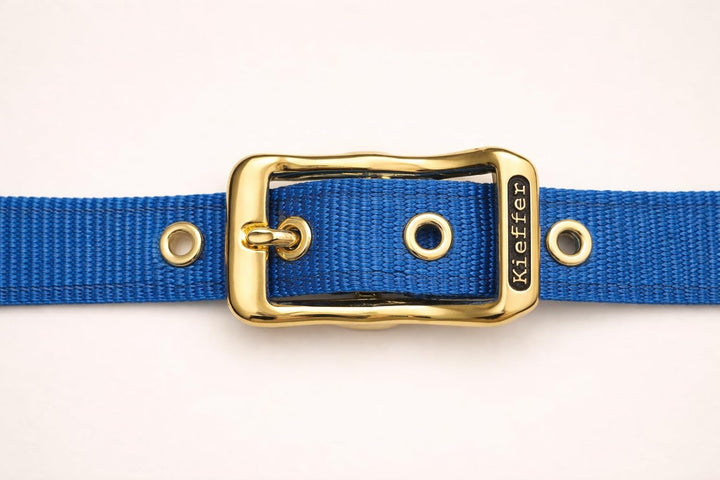 Reinecke Equestrian Premium Leuchthalfter Reflexhalfter Sicherheitshalfter Stallhalfter Weidehalfter