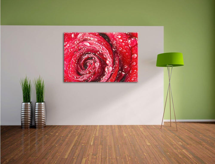 Pixxprint Rose mit Wassertropfen als Leinwandbild/Grösse: 100x70 cm/Wandbild/Kunstdruck/fertig bespa