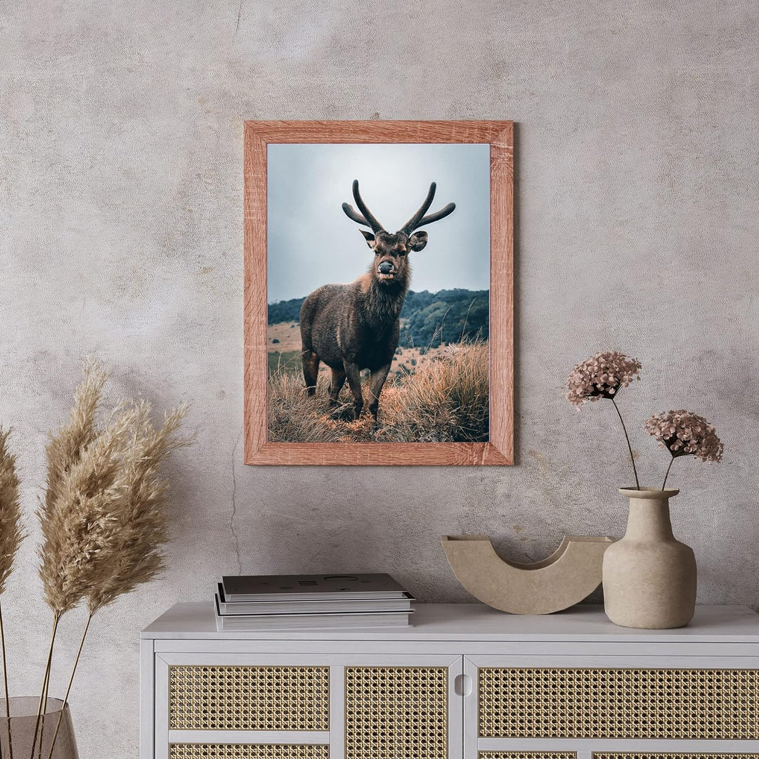Rahmendesign24 Posterrahmen Rio 50x70 Sonoma Eiche Fotorahmen, Wechselrahmen, Bilderrahmen, 50x70 So