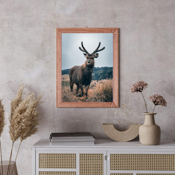 Rahmendesign24 Posterrahmen Rio 50x70 Sonoma Eiche Fotorahmen, Wechselrahmen, Bilderrahmen, 50x70 So
