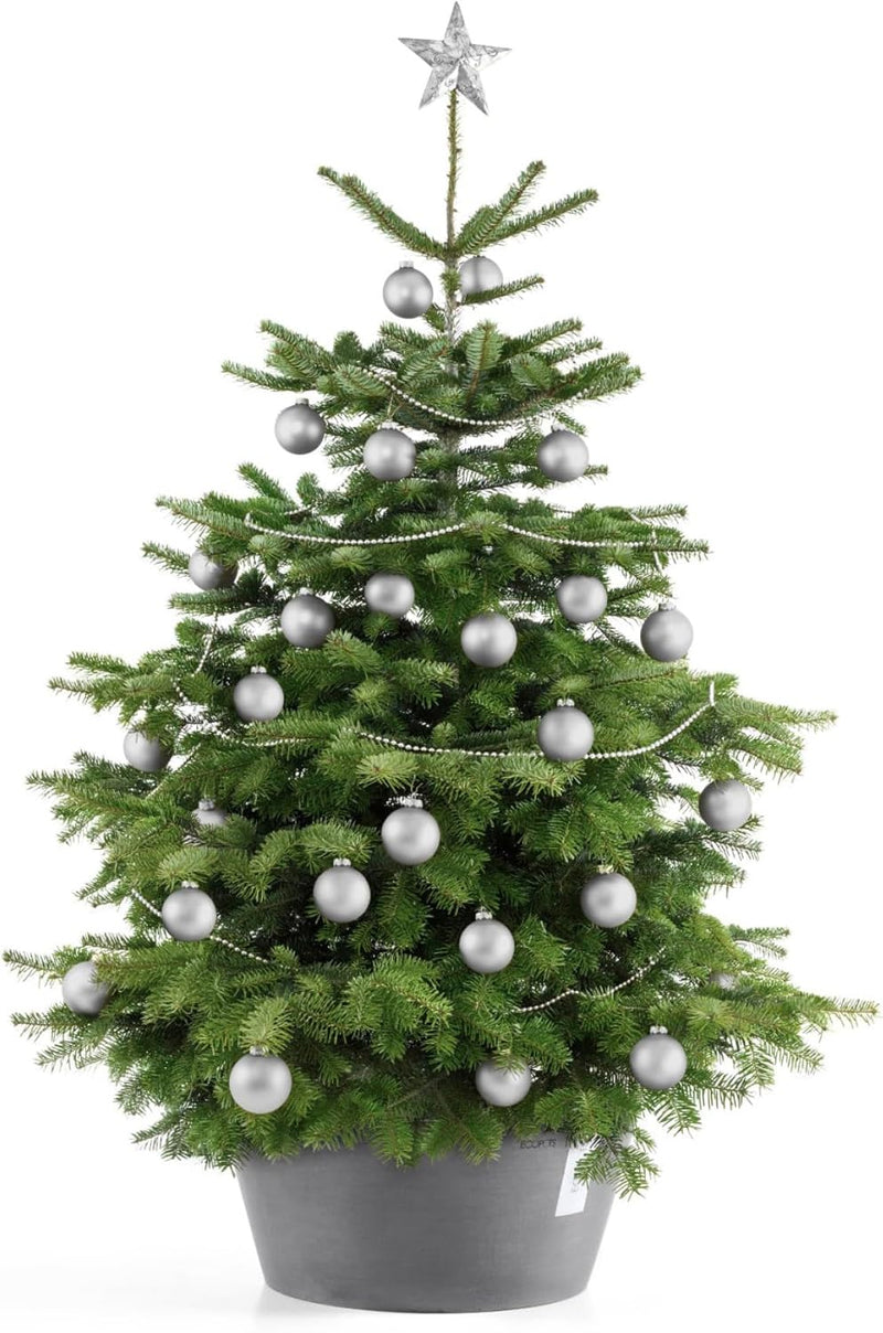 Ecopots Christbaumständer mit Wasserspeicher für Bäume bis 3,00 m Baumhöhe umkippsicher - Tannenbaum