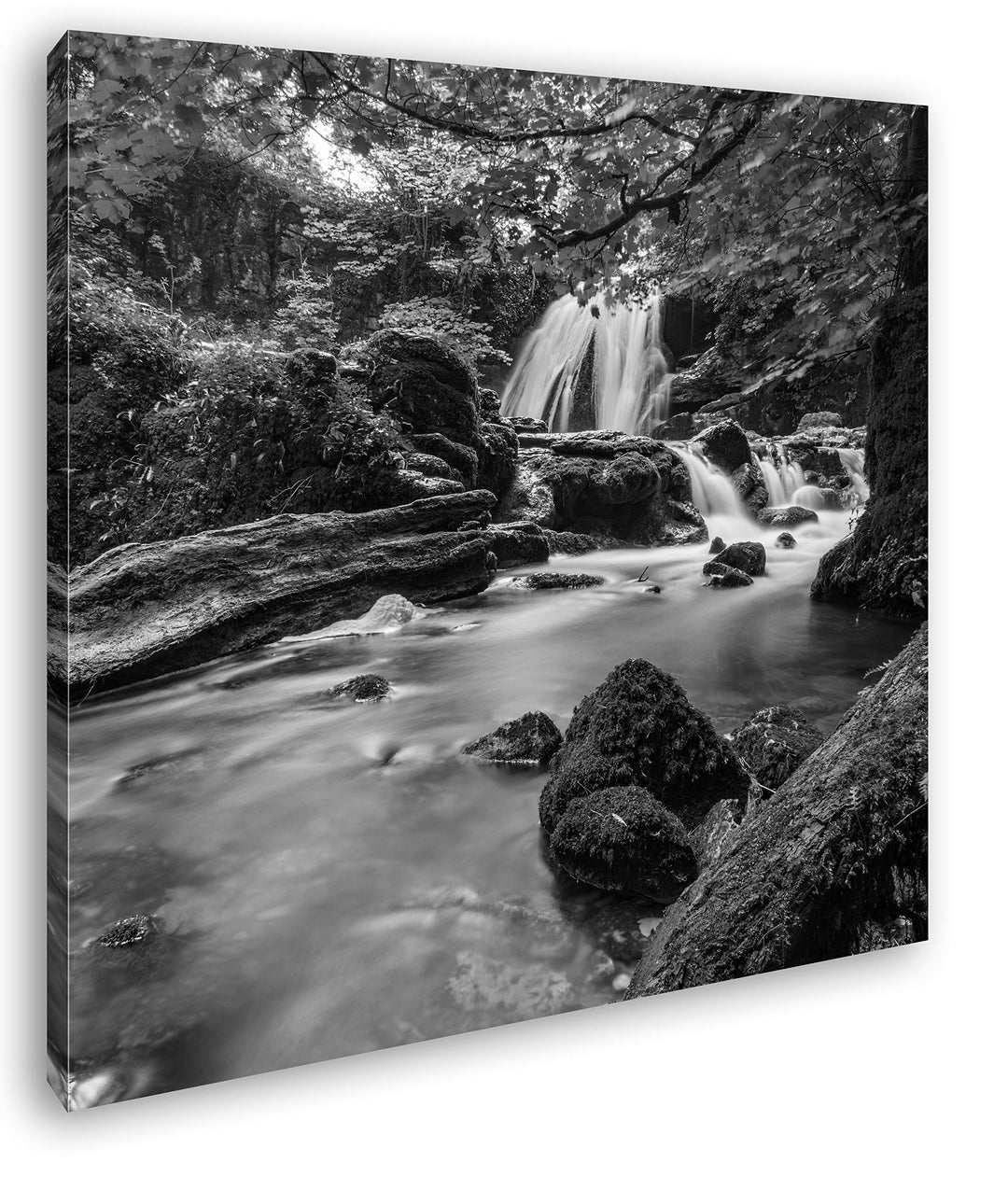 deyoli Flusslauf im Dschungel Format: 70x70 Effekt: Schwarz&amp;Weiss als Leinwandbild, Motiv fertig ger