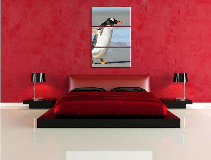 Pinguin am Strand 3-Teiler Leinwandbild 120x80 Bild auf Leinwand