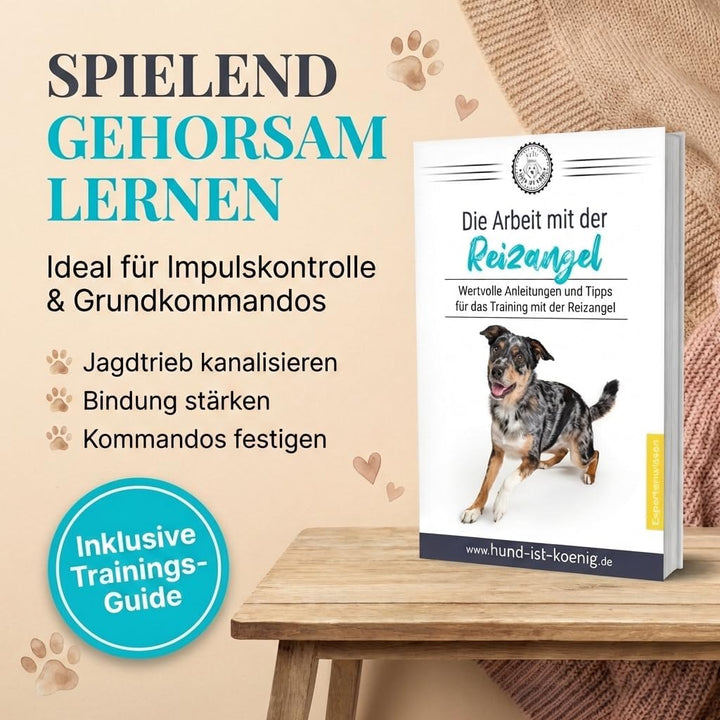 HUND IST KÖNIG® Reizangel Hunde - Profi Reizangel für Hunde für ultimativen Spielspass & körperliche