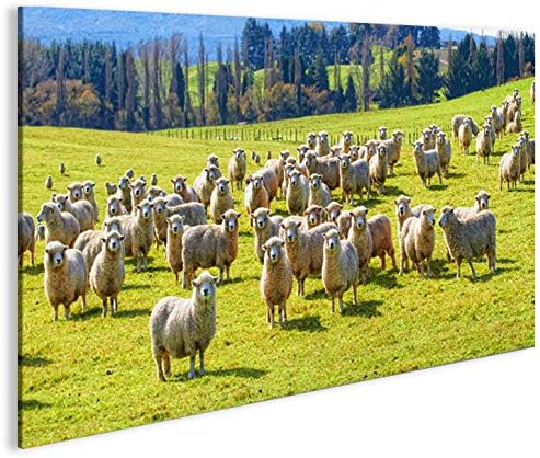 islandburner Bild Bilder auf Leinwand Schafherde Schafe auf Wiese 1p XXL Poster Leinwandbild Wandbil