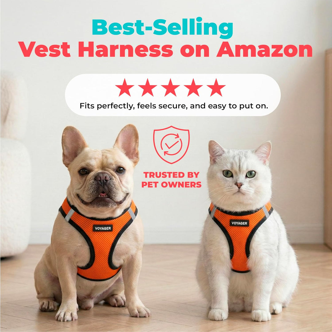 Best Pet Supplies Voyager Step-In Air Hundegeschirr – Allwetter-Netzgewebe für kleine und mittelgros
