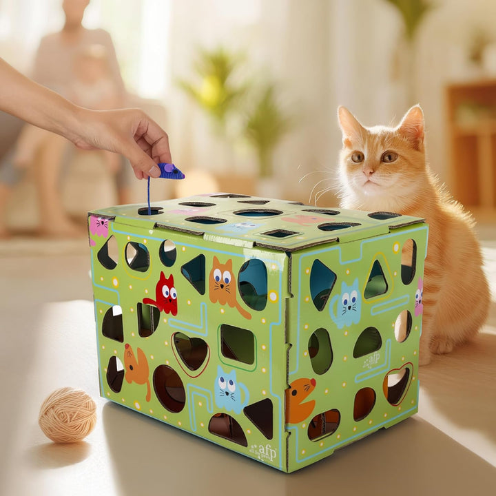 ALL FOR PAWS Katzen-Futter-Spielzeug, Interaktive Leckerli-Spielbox für Katzen, Futterlabyrinth-Box