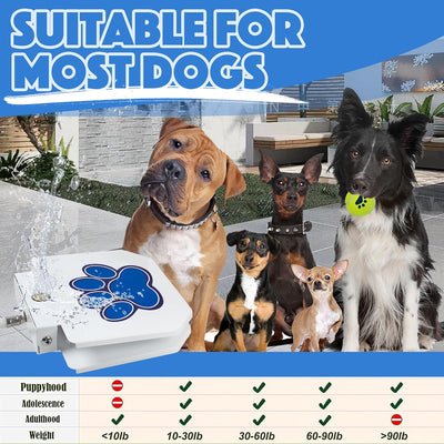 BACOENG Trinkbrunnen für Hund und Haustier, Wasserspielzeug für Hunde, Hund Wasser Gartenbrunnen, Ou
