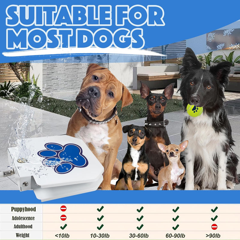 BACOENG Trinkbrunnen für Hund und Haustier, Wasserspielzeug für Hunde, Hund Wasser Gartenbrunnen, Ou
