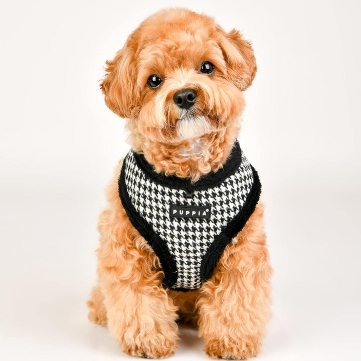 Puppia Hundegeschirr für kleine und mittelgrosse Hunde - Shepherd Harness A - verstellbar und komfor