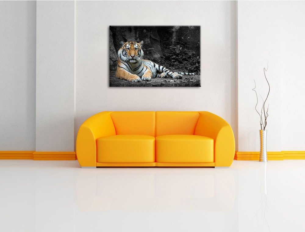 ruhender Löwe schwarz/weiss Format: 100x70 auf Leinwand, XXL riesige Bilder fertig gerahmt mit Keilr