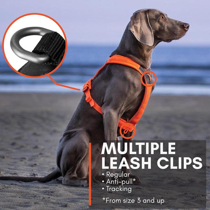 Non-stop dogwear Line Harness 5.0, Gepolstertes Hundegeschirr für kleine, mittlere und grosse Hunde,