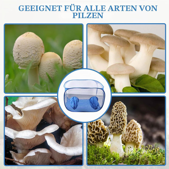Pilzzuchtzelt, 90 * 60 * 60 cm Pilz Zucht Zelt Glovebox Pilzzucht Pilze Züchten Set Kompakte Pilzzuc