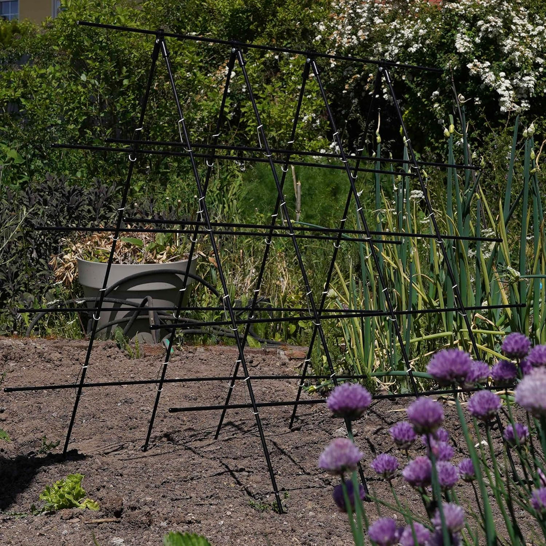 Gurken Rankhilfe Garten, Trellis, Rankhilfe Himbeeren, Bohnen Rankhilfe, Rankgitter Gurken, Rankhilf