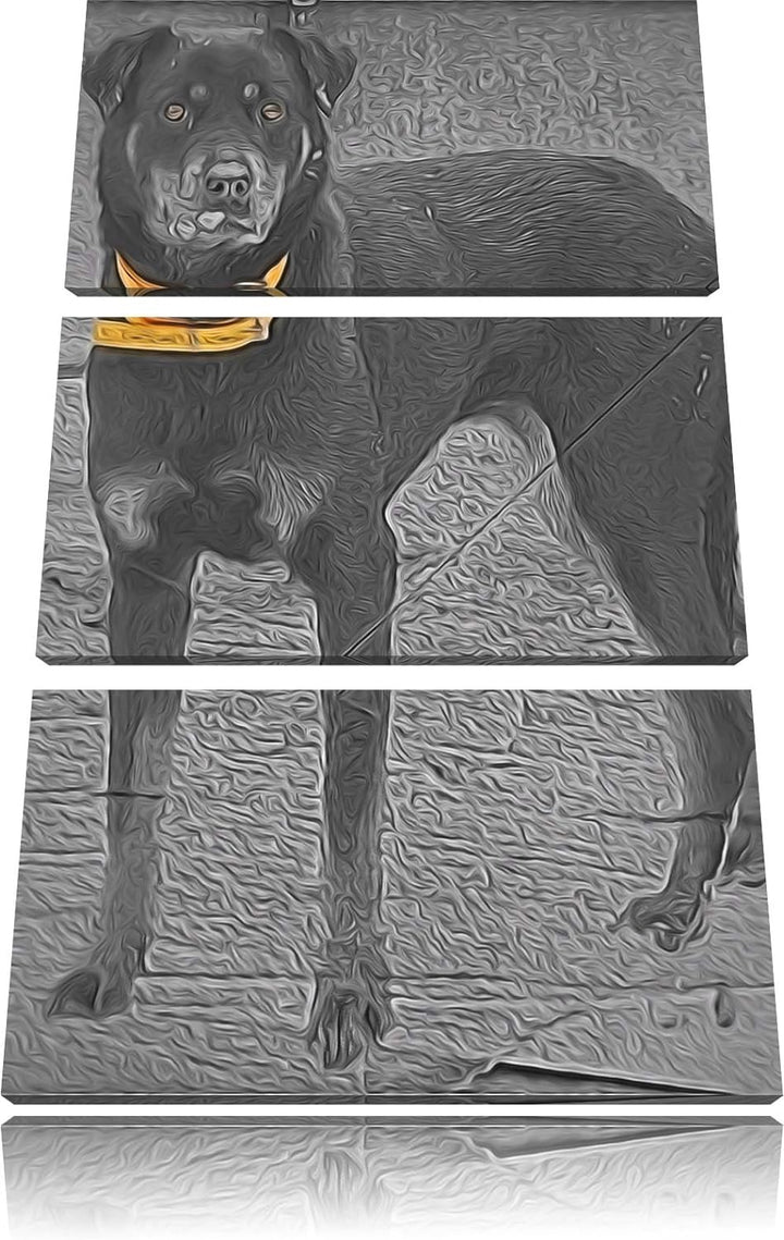 prächtiger grosser Rottweiler schwarz/weiss Deluxe 3-Teiler Leinwandbild 120x80 Bild auf Leinwand, X