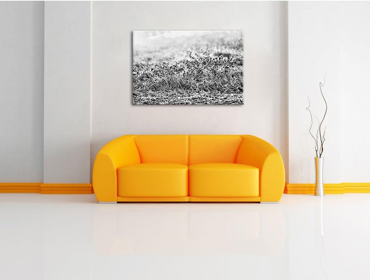 Pixxprint Lila Distel Feld im Retro Look als Leinwandbild | Grösse: 100x70 cm | Wandbild | Kunstdruc