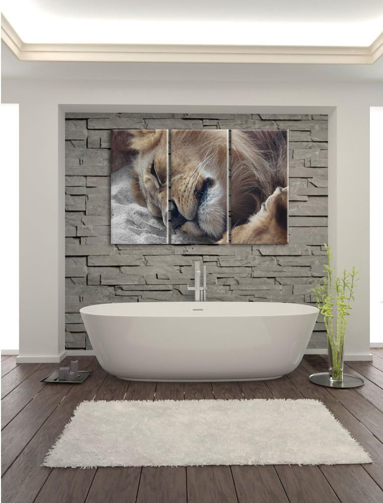 Pixxprint schlafender Löwe als Leinwandbild | Grösse: 3 Teilig (120x80) | Wandbild| Kunstdruck | fer
