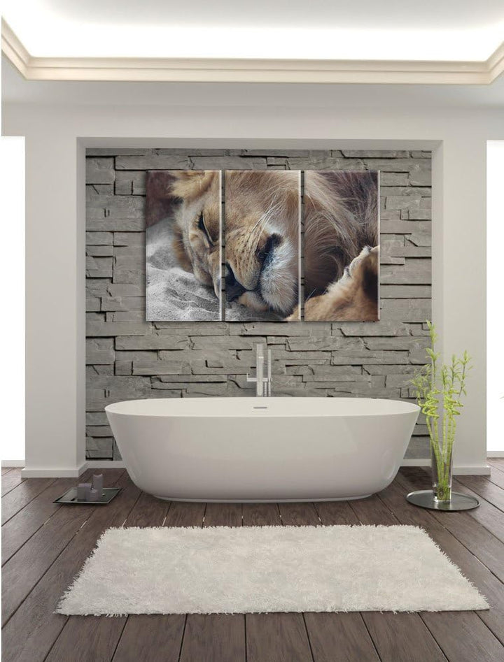 Pixxprint schlafender Löwe als Leinwandbild | Grösse: 3 Teilig (120x80) | Wandbild| Kunstdruck | fer